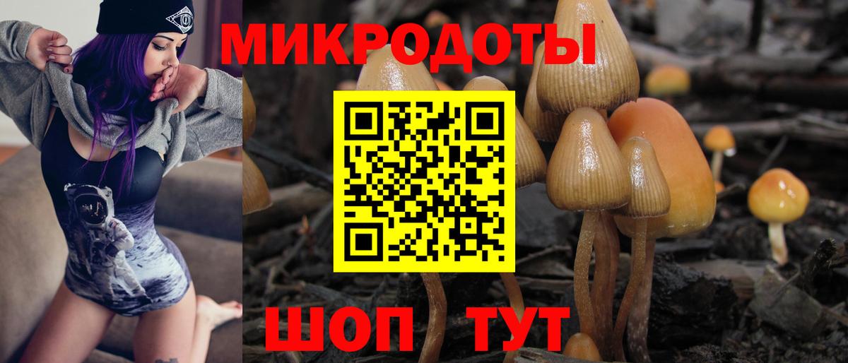 Галлюциногенные грибы мицелий Верхняя Салда